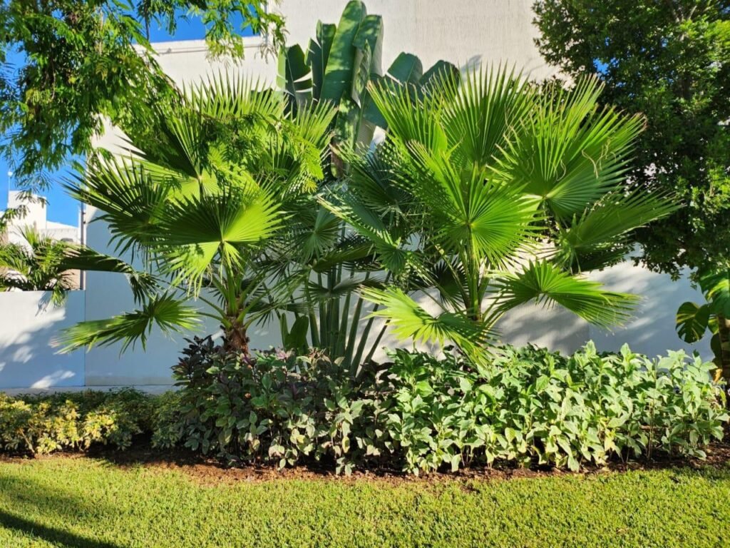 D5A70E5D-29D8-4B8A-B811-8BAD17679C9E